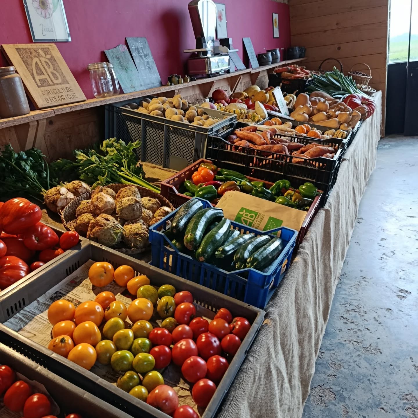 Magasin de légumes de la ferme - photo 2