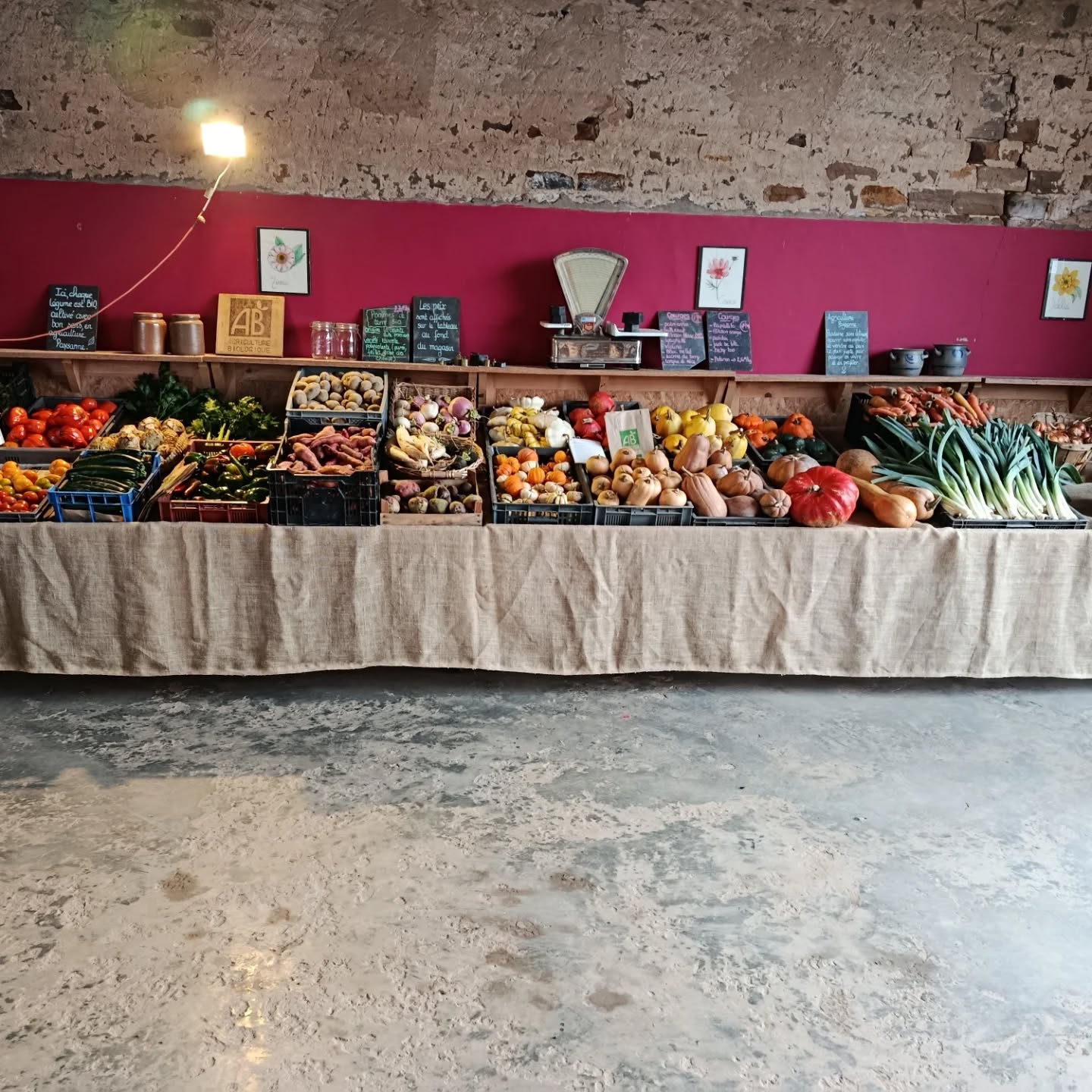 Magasin de légumes de la ferme - photo 3