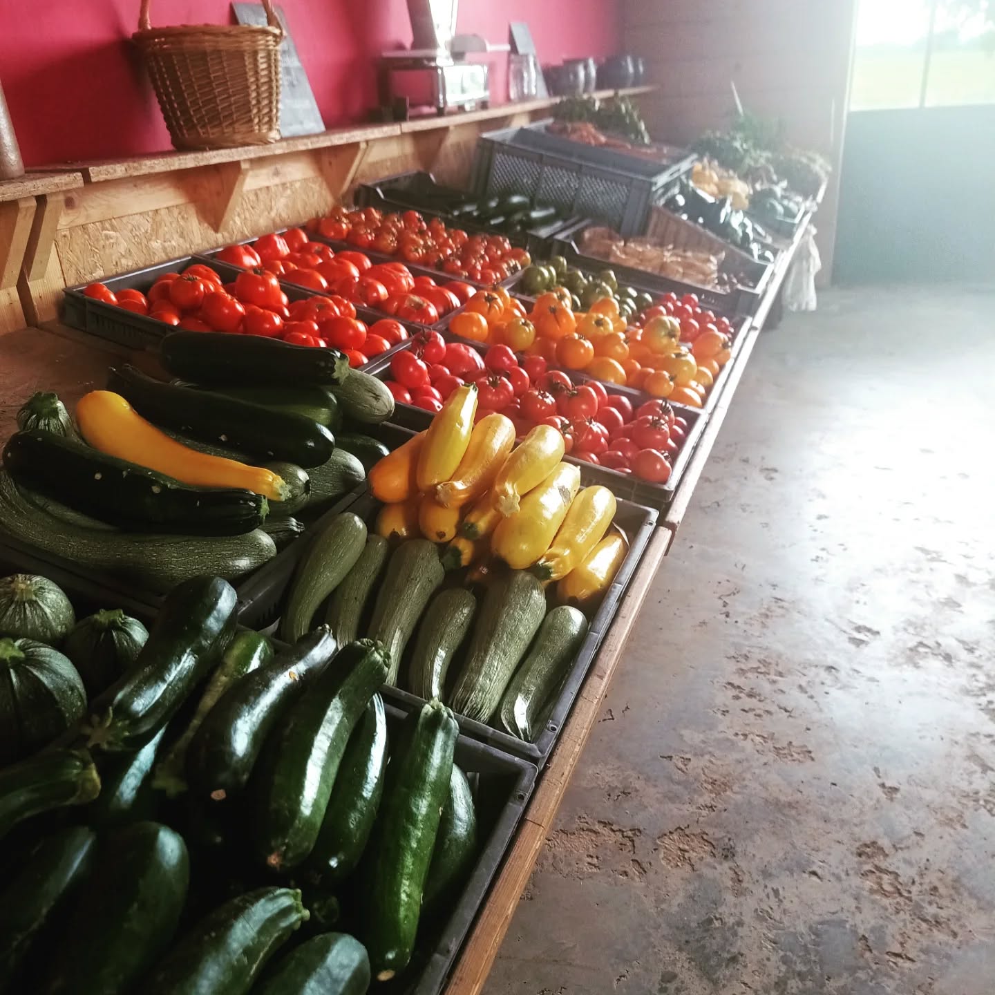 Magasin de légumes de la ferme - photo 4