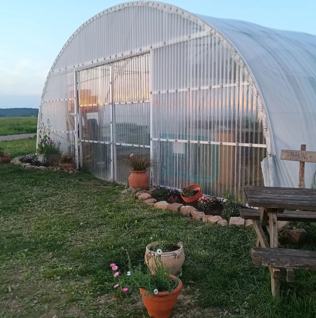 Plants de la ferme - photo 3