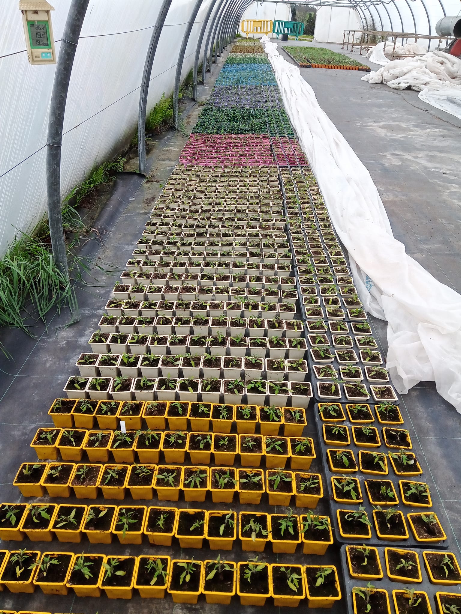 Plants de la ferme - photo 9